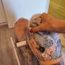 Mamas & Papas Rocking Horse Image 4