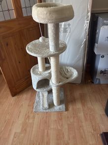 cat tree