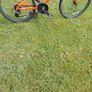 kids bicycle Image 3