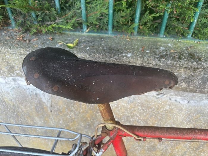high nelly bike