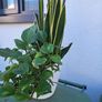 Indoor planter Image 3