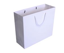 100 White Gloss Bags - 28x20cm - Free postage