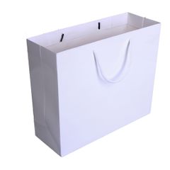 100 White Gloss Bags - 28x20cm - Free postage