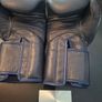 Fairtex BGV1 Boxing Gloves Image 2