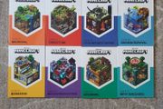 Minecraft book set