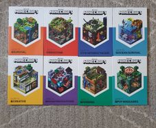 Minecraft book set