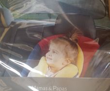 Large front/back window  car shade