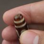 Antique 6 Eyes Himalayan Tibetan Agate Dzi Bead Amulet Pendant Image 8