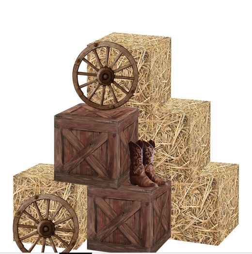 Cowgirl theme party decorations