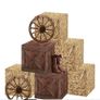 Cowgirl theme party decorations Image 4