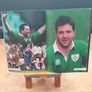 Anthony Foley - Commemorative Program - Munster Rugby Image 3