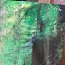 Wolves In The Throne Room - Black Cascade Image 7