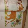 The tiger who came to tea book and teddy Image 6