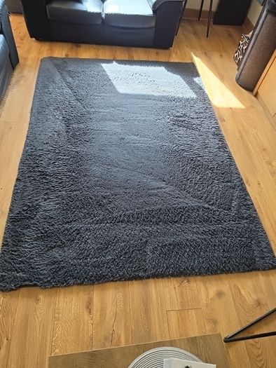 Carpet