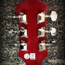 EPIPHONE Slash AFD Les Paul Special II Guitar Image 8