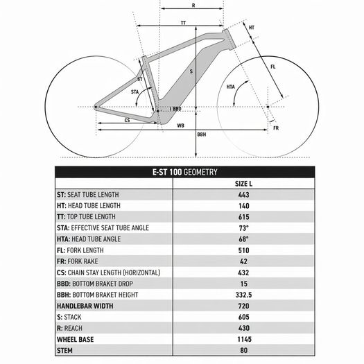 Electric Mountain Bike ROCKRIDER E-ST 100