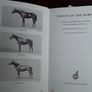 Points of the Horse, Capt. M. Horace Hayes Image 3