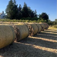Hay for sale