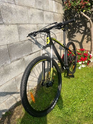 Adult Bike