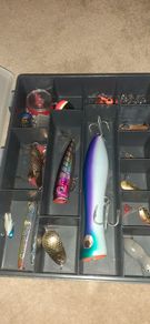 fishing lures