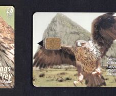 2000 Gibraltar 100 unit Bonelli's Eagle (Siemens - S5 (Module 33)) Phonecard