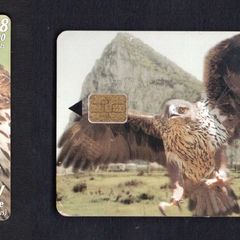 2000 Gibraltar 100 unit Bonelli's Eagle (Siemens - S5 (Module 33)) Phonecard