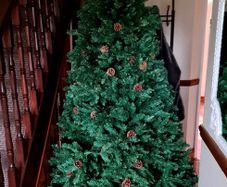 Christmas tree