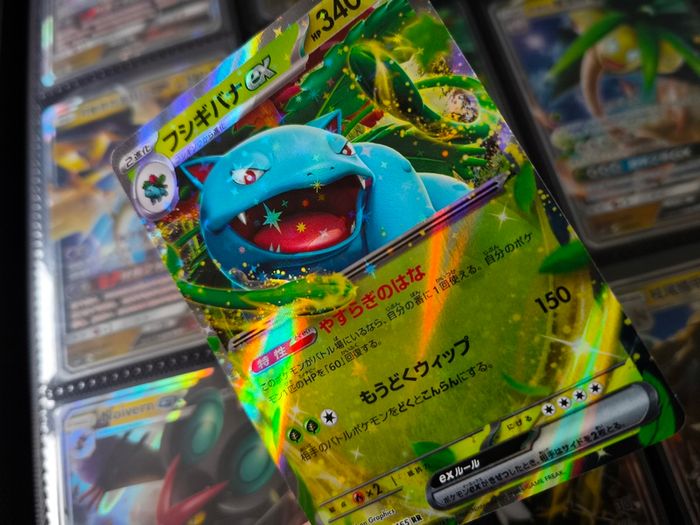 Venusaur EX ! Double Rare ! from Pokemon 151 Set ! 2023 ! Japanese Pokemon Card !