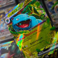 Venusaur EX ! Double Rare ! from Pokemon 151 Set ! 2023 ! Japanese Pokemon Card !