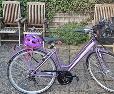 Ladies Bike