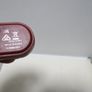 SKULLCANDY Sesh True Wireless Earbuds Image 6