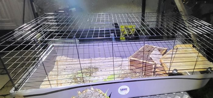 XXLarge  guinea pig & rabbit cage