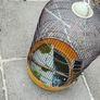 bird cage Image 2