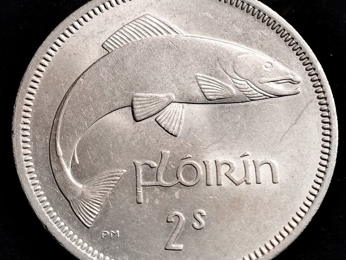 Ireland - 1964 - Irish 2s - Florin - Salmon - KM.15a - High Grade - [2678]