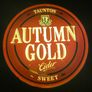 Taunton autumn gold counter light Image 8