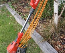 Electric Strimmer