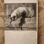 Charles: The Story Of A Friendship.  By Michael Joseph.  1946 Hardback With Dustjacket . See Photos For  Condition. Image 7