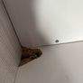 bunk beds Image 7