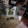 fish tank  "Aguael" Image 5