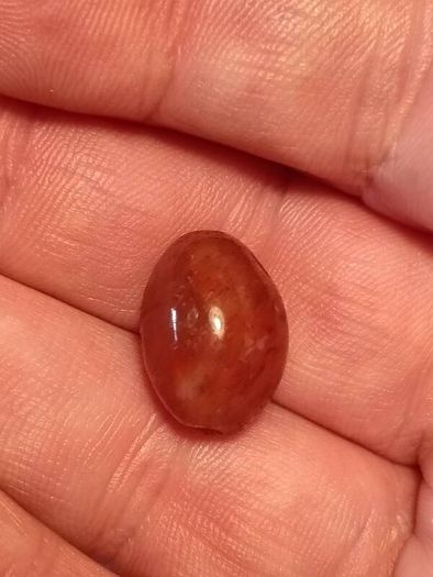 25 1900BC Carnelian Ancient Egypt Beads(With COA)
