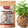 Kruger Meier ProNature Ball 15 - fertilizer balls with a biostimulant Image 8