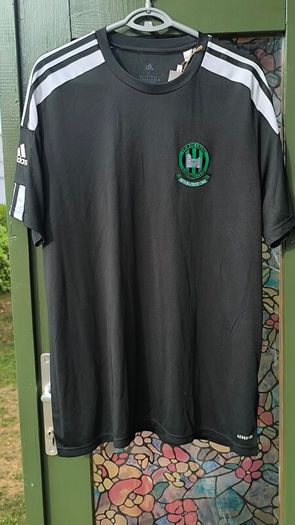 Swords Celtic Training Top