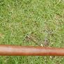 Vintage HORSE HEAD Walking Stick Brass Handle Image 6
