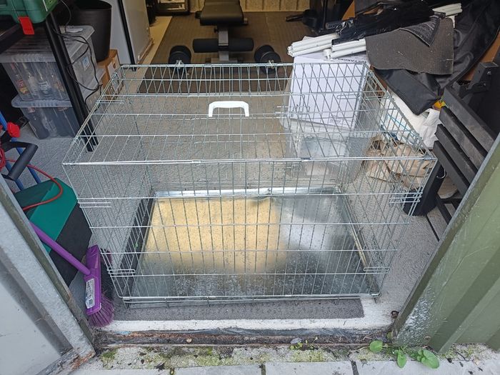 Dog Crate