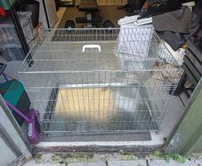 Dog Crate