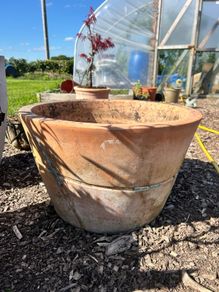 Teracotta Pot