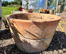 Teracotta Pot