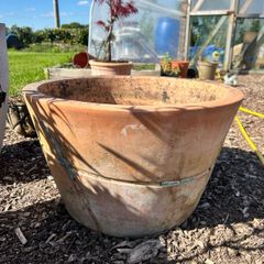 Teracotta Pot