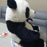 5 Extra Large Teddy Bears Good Condition Image 5