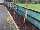 windbreak netting